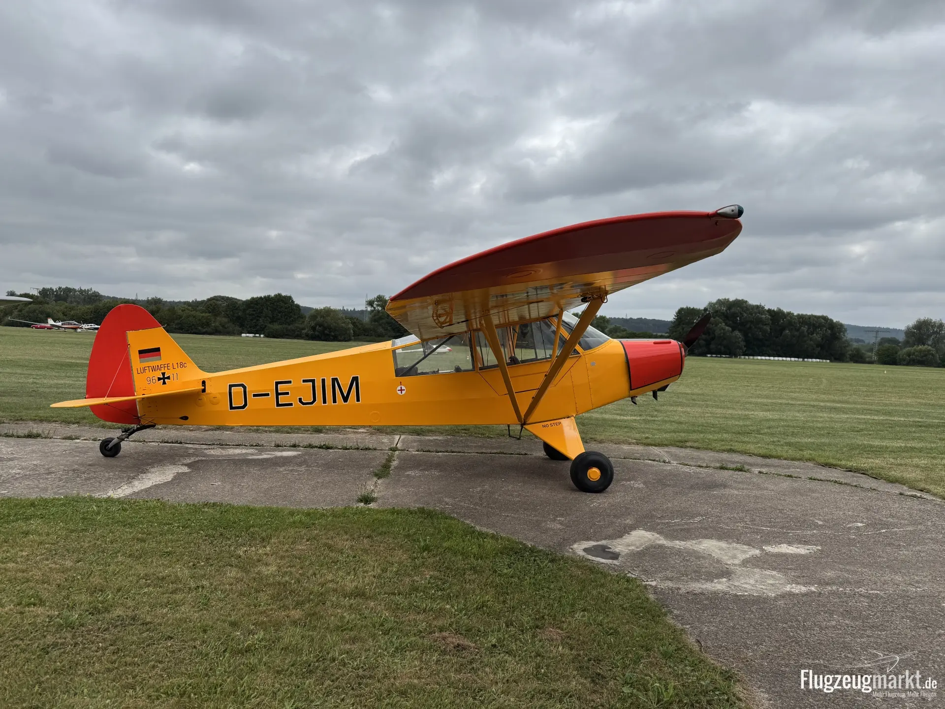 Piper Aircraft PA-19